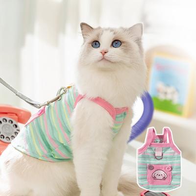 Abbigliamento e scarpe – Gilet e camicie per cani