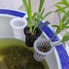 Water Culture Planter Aquarium Plant Basket Plastic Aquatic Plant Holder  Aquarium