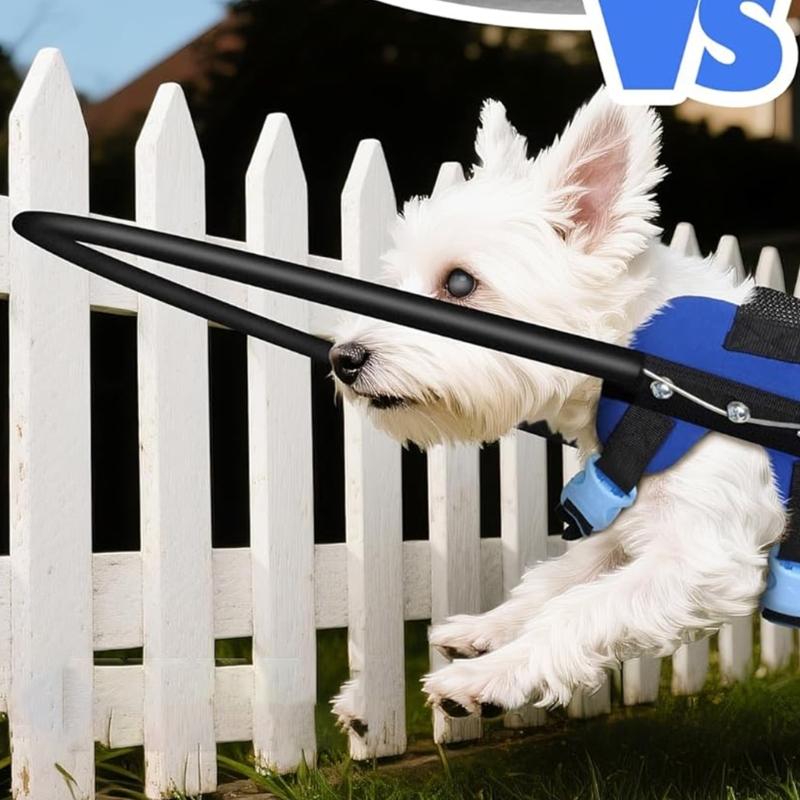 Dispositivo di Assistenza alla Sicurezza per Animali da Compagnia Pettorina Combinata con Paracolpi e Guinzaglio Regolabile per Cani Piccoli e Medi Uso Interno ed Esterno