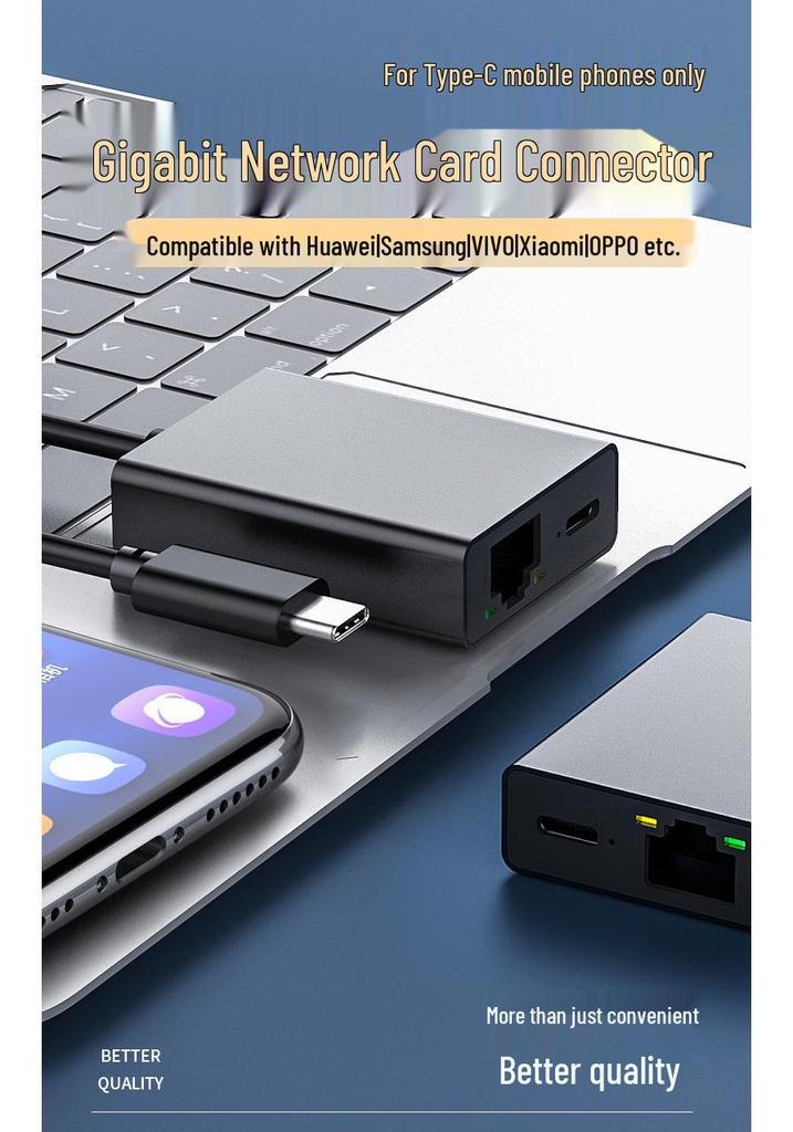 Type-C 2-in-1 Docking Station with PD100W, Gigabit Ethernet, and 100Mbps Ethernet Port