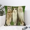 Funny Meowl Cat Owl Pillow Cover Retro Trendy Pillow Case For Living Room Bed Chair Comfy Pillowcases Birthday Gift