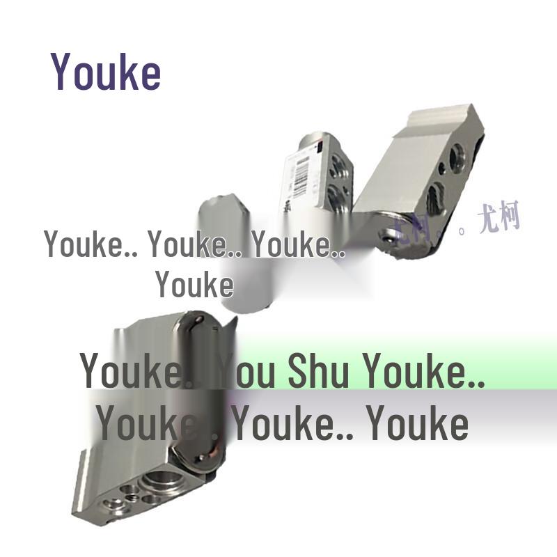 Youke Expansion Valve