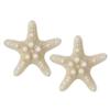 2 pcs Womens Girls Elegant BEAUTY Starfish Sea Star Hairpin Hair Clip