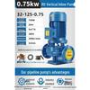 IRG Vertical Centrifugal Pump for Hot/Cold Water, Irrigation Booster & Variable Frequency Circulation.