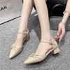 Baotou Thick Heel Sandals Spring New Pointed Head Shallow Mouth Crystal Buckle Butterfly Knot Line with Low Heel Shoes