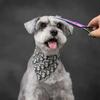 Colored Curved Scissors for Pet Grooming, Dog Hair Trimming Scissors
