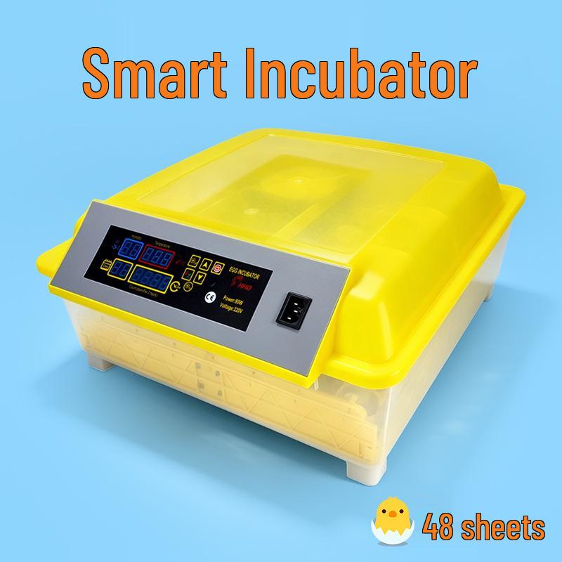 Smart Mini Egg Incubator for Parrots and Budgies: Automatic Pet Hatchery Equipment