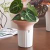 Nordic Style Large Diameter Creative Flower Pot for Phalaenopsis, Spider, and Succulent Plants