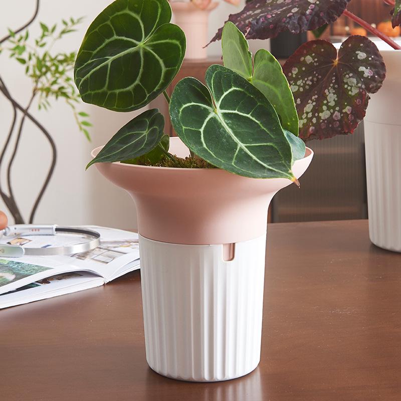 Nordic Style Large Diameter Creative Flower Pot for Phalaenopsis, Spider, and Succulent Plants