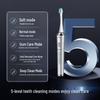 Panasonic EW-PDP51 Smart Sonic Electric Toothbrush, Silver