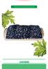 Portable Wooden Moxibustion Pillow for Cervical & Lumbar Spine