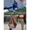 4pcs Pet Grooming Flea & Lice Comb, Double-Sided Fine Cat Hair Detangling Brush, Pet Fur Beauty Products