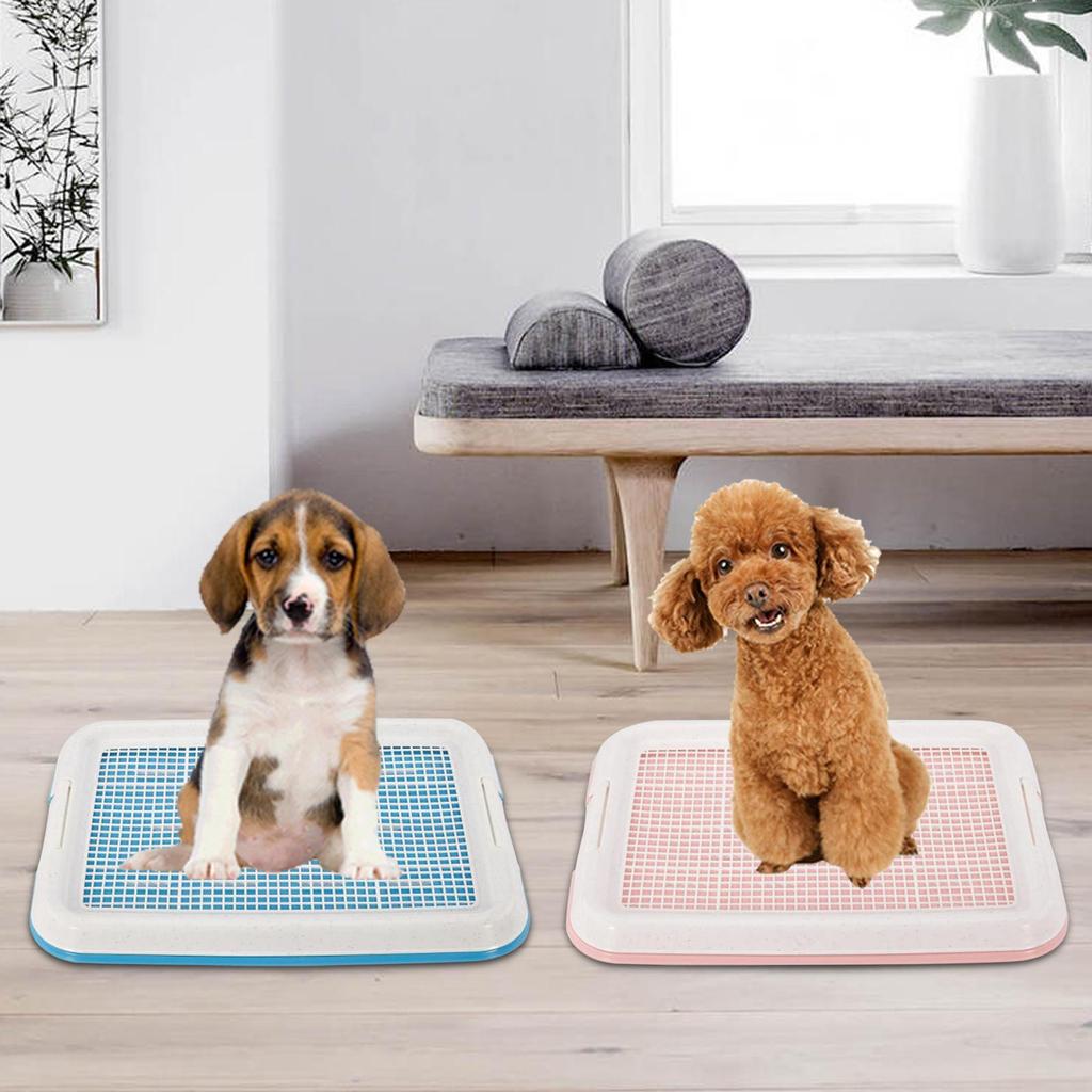 Dog Potty Toilet Training Tray/ Dog Litter Box with Secure Latch/ Indoor Outdoor