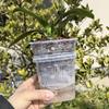 Selbstbewässernder Blumentopf Doppelschichtige Töpfe für Pflanzen Anzuchttöpfe mit Löchern Garten Automatisch Wasser aufnehmend Wurzelkontrolltöpfe
