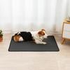 Dogs Pet Pee Pad Reusable Diaper Waterproof Puppy Training Washable Sleeping Mat