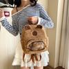 Kabbalah Plush Double Shoulder Bag Summer Transparent Capybara Furry Backpack for Students