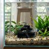 Realistic Texture Fish Tank Rockery Ornaments 3D Printing Fish Hiding Cave  Fish Tank Decoration