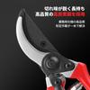 Pruning Shears Garden Shears with 4x Carbon Easy Suitable for Branch Flower Flower Fruit and Vegetable Gardens DR.TREE - Sharpness, Steel,