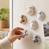 Magnetischer Rückseite Tierhaare Andenkenhalter Klare Tierhaare Gedenkbox Katze Hund Andenken