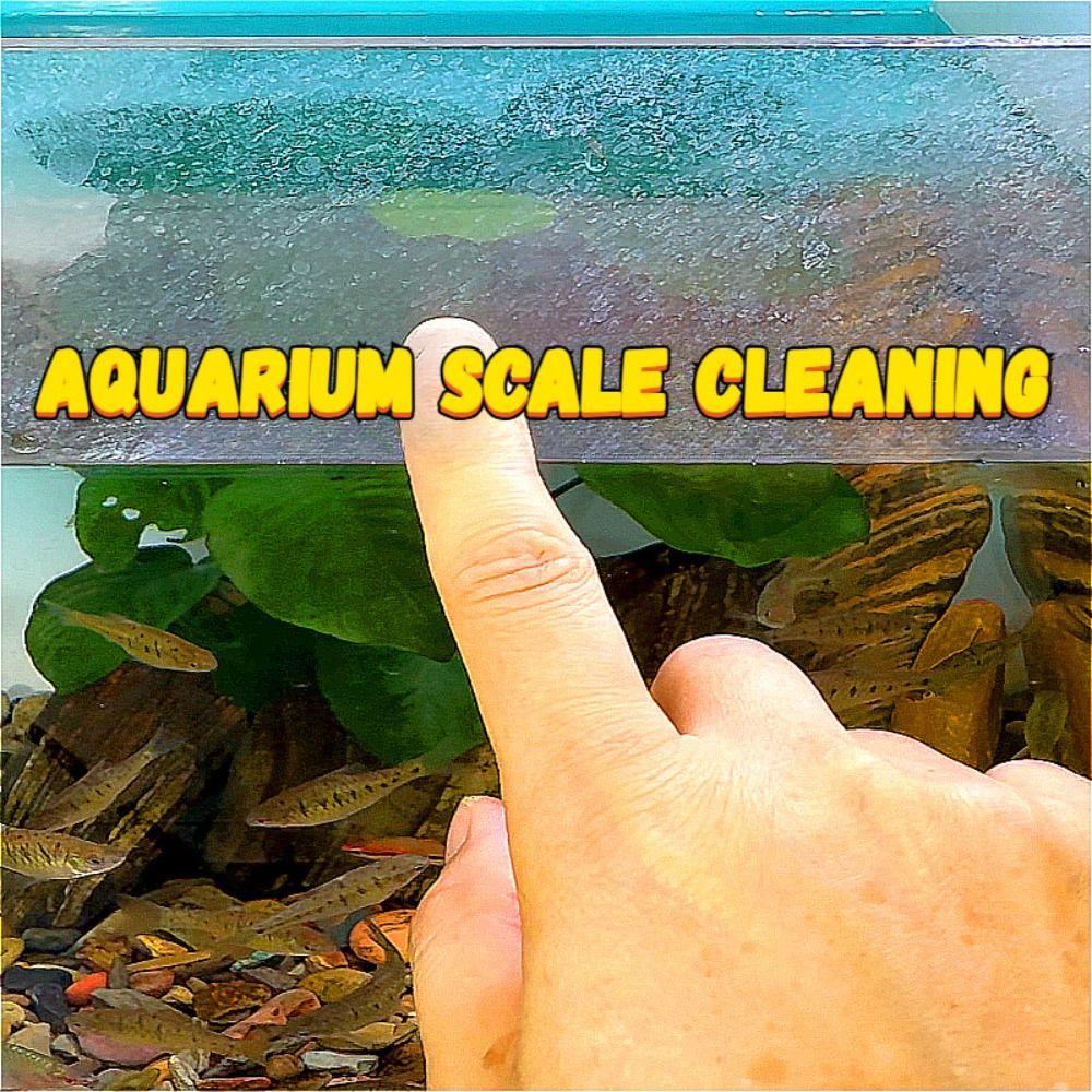 Kein toter Winkel Aquariumwischer Aquarium Reinigungsartefakt für saubere Wasserflecken auf Innenglas