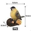 Figure Artificial Birds Garden Figurine Small Ration Animal Toys for
