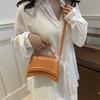 Trendy Minimalist 2024 Summer New Small Square Handbag Stylish Casual Tote Bag