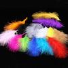 Encrypted Colored Turkey Feather Strips for DIY Decorations & Stage Costumes
