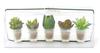 Kishima CT Catalyst Deodorizing Artificial Green Little Succulent Family KH-60989