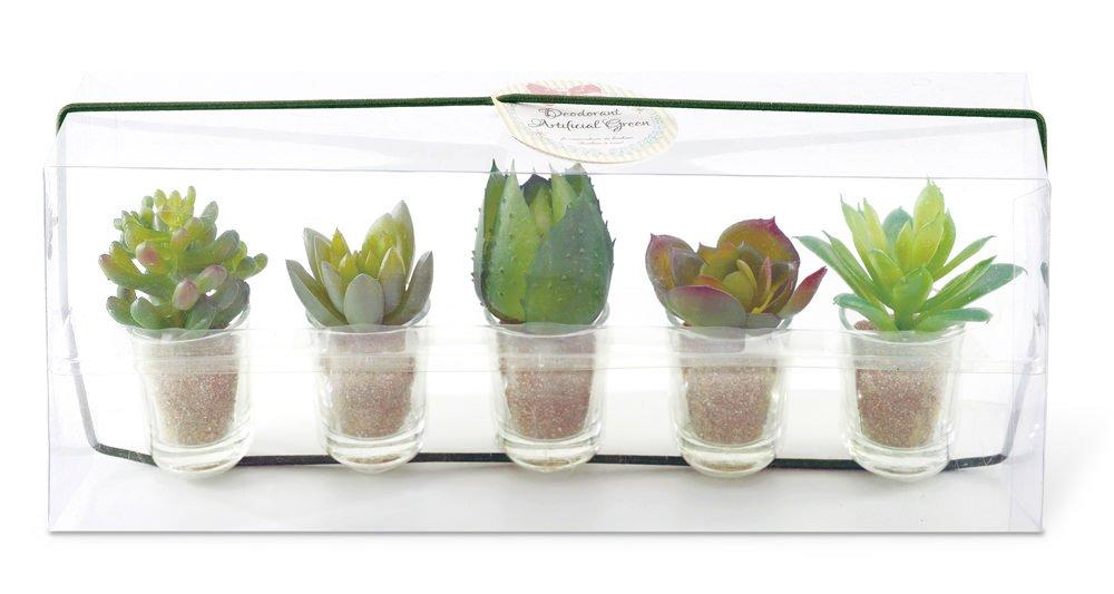 Kishima CT Catalyst Deodorizing Artificial Green Little Succulent Family KH-60989