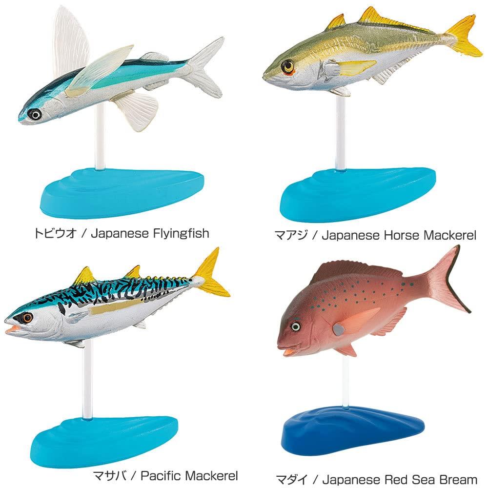 Calorata Saltwater Fish Figure Deluxe Set (15 Species  Boxed  Instruction Manual  Food Sanitation Law Compliant) 3D Illustrated Guide, Realistic Fish