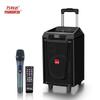 Malata M+9045 Portable Karaoke Speaker with Wireless Microphone (CN Version)