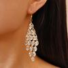 Elegant Glass Crystal Diamond-set Acrylic Water Drop Fringed Ear Hook Personalized Earrings