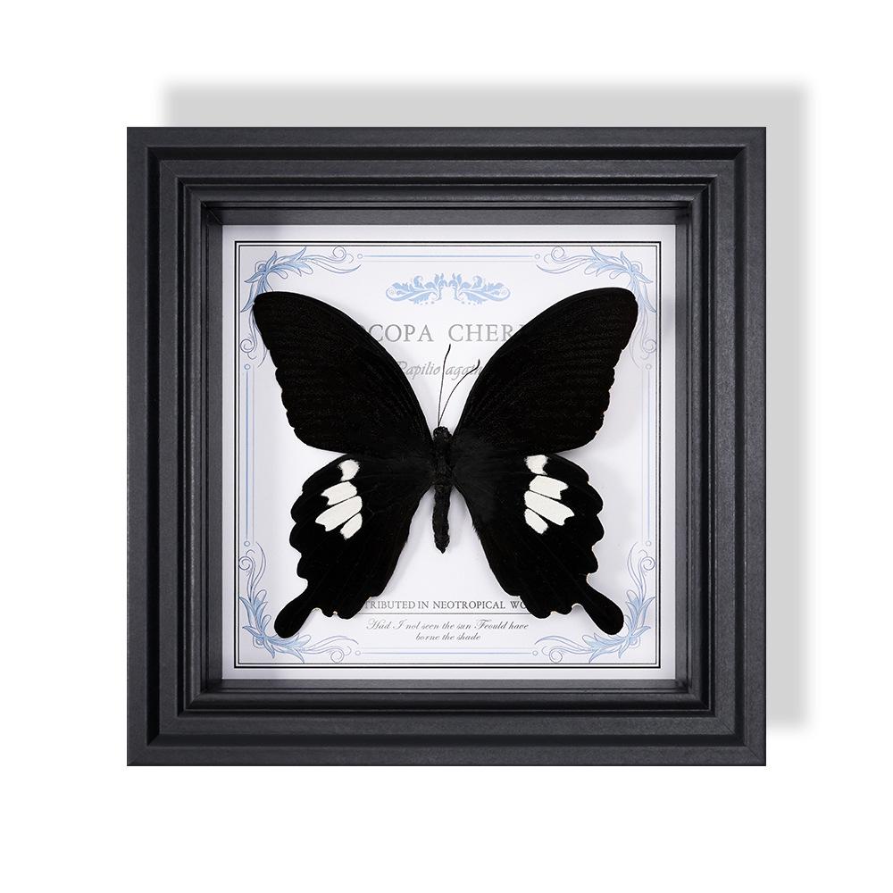 Wall-Mounted Butterfly Specimen Photo Frame: Home Decor & Gift for Valentine's Day, Qixi, Birthday, Couples & Insect Lovers