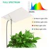 LED Full Spectrum Lifting Light USB Charging Indoor Grow Light Dimmable for Seedling Green Plant Aquarium Succulent