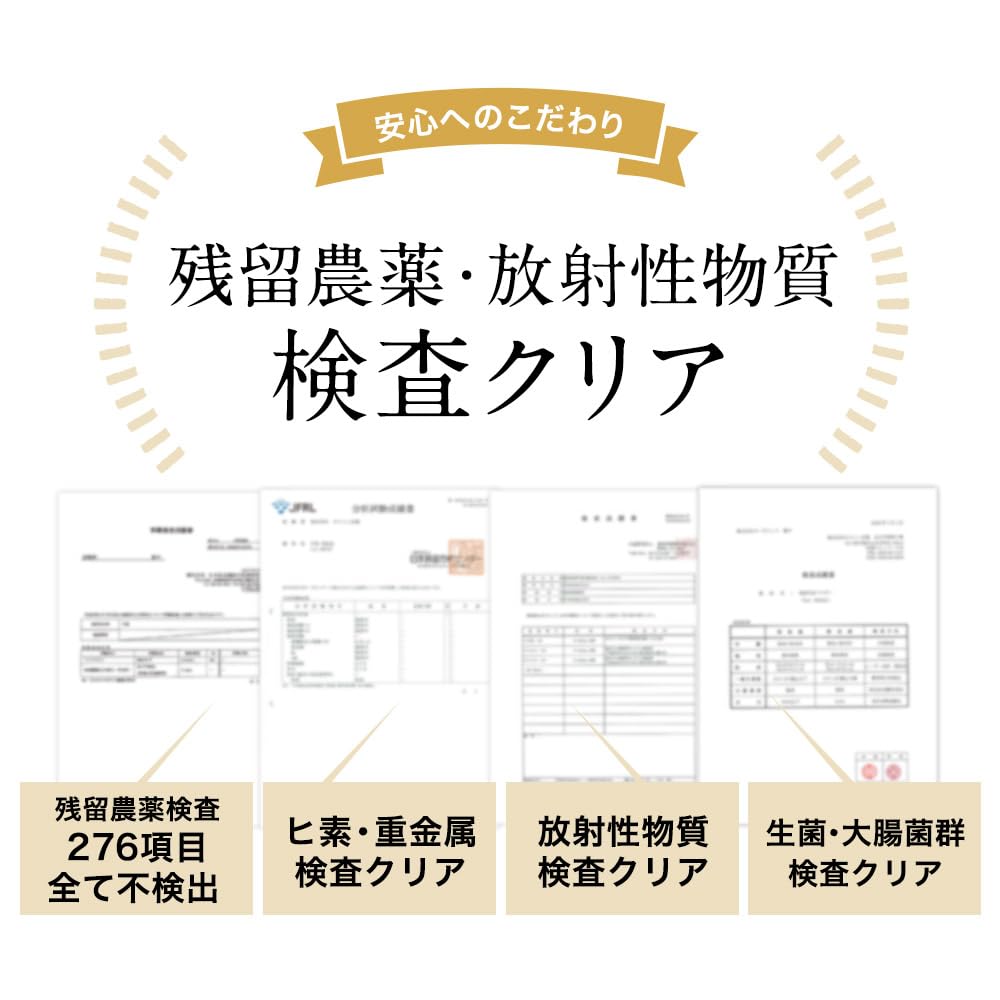 Organland Bambuskohlepulver, 100g, Ultrafein, Essbar, Hergestellt in Japan, Kohle Reinigungs Pulver