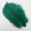10Pcs Colorful Ostrich Feather Handicraft Accessories Dream Catcher Decoration Jewelry Creation Natural Plume Table Centerpieces