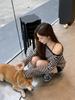 Early Autumn Korean Style Loose Striped Raglan Off-Shoulder Cotton Long Sleeve Women's Top