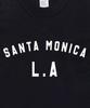PAPERBOY Crop Santa Monica Short Sleeve T-Shirt - Black