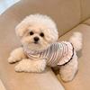 Dog clothes Autumn and winter rainbow striped dress Bigbear cat teddy Pomeranian small dog velvet pet vest