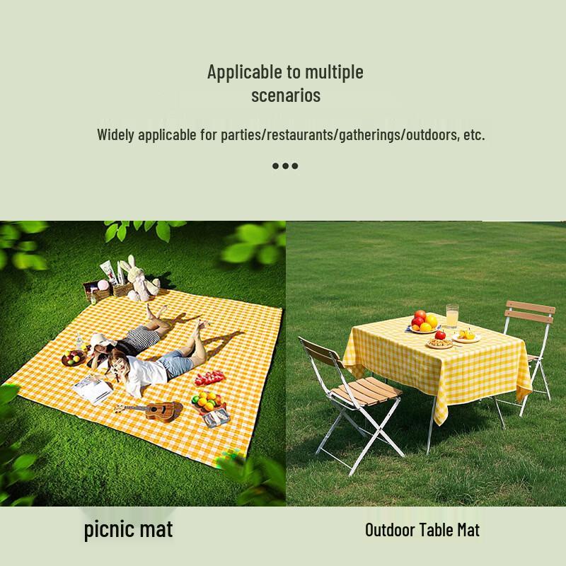 Portable Disposable Picnic Mat