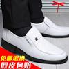 Summer New Leather Shoes Men's Leather Breathable Large Size Dress Business Casual Dad White Men's Single Shoes