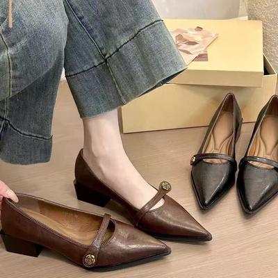 French Pointed Thick Heel One-pedal High Heels Spring Evening Commute Versatile Shallow Mouth Single Shoes
