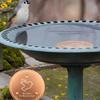 Bird Bath Copper Disk Bath Disk Ornaments Feeder Accessories Triple-Point Support Purifier Plate for Patio Fountain Garden Lawn
