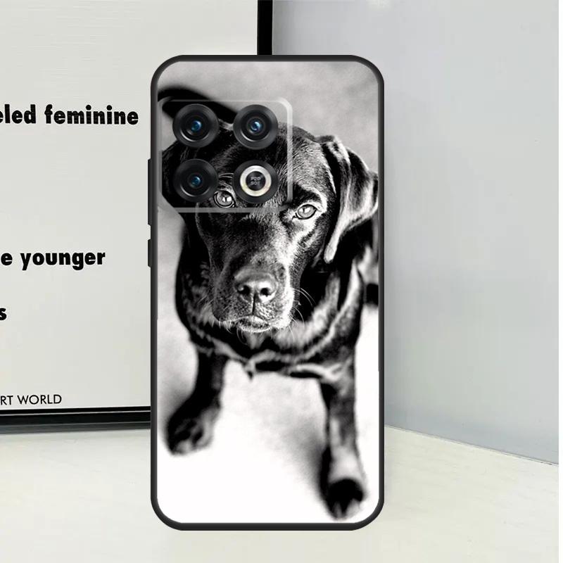Black Labrador Dog Case For OnePlus Nord 3 2T N30 N20 N10 CE 2 Lite OnePlus 10T 12R 10R 8 9 10 Pro 11 12 Cover