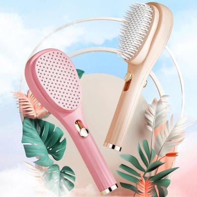 Hair Brush Double-sided Self-Cleaning Scalp Air Cushion Massage Anti-static Comb Portable Men Women Hair Detangling