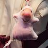 1/2 Peças Chaveiro Gato Giratório Engraçado Meme Fofo Buzzer Chaveiro Pingente Pelúcia Desenho Animado Gatinho Pingente de Bolsa Presente para Mochilas Chave do Carro