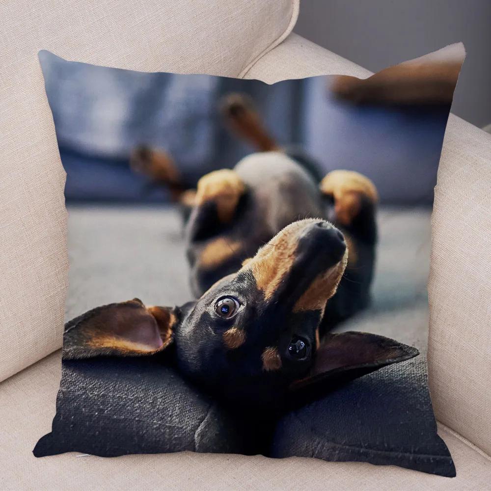 Mini Dackel Hund Kissenbezug Dekor Haustier Tier Kissenbezüge Superweicher Plüsch Kissenbezug für Sofa Zuhause Kinderzimmer 45x45cm