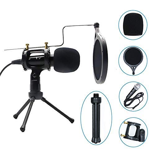 Desk Arm Microphone Stand, Tabletop, Extendable Holder with Flexible Arm and Clamp for Studio Microphones and Condenser Microphones, Foldable Stand Ar