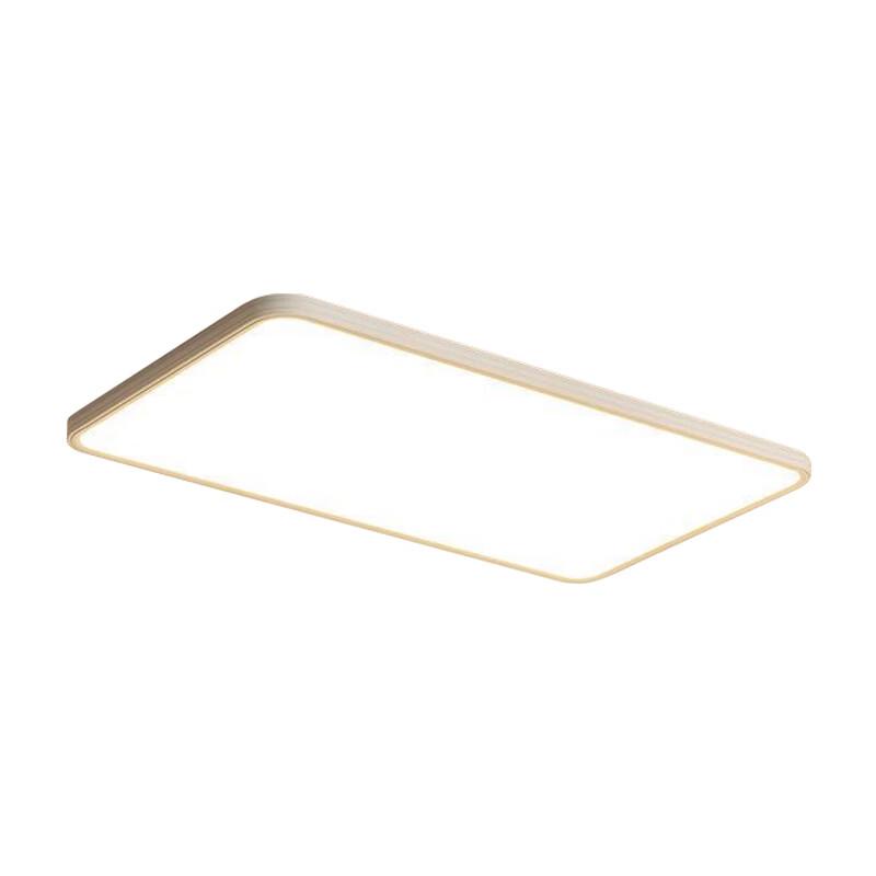 Dream Bubble Modern Minimalist LED Ceiling Lamp