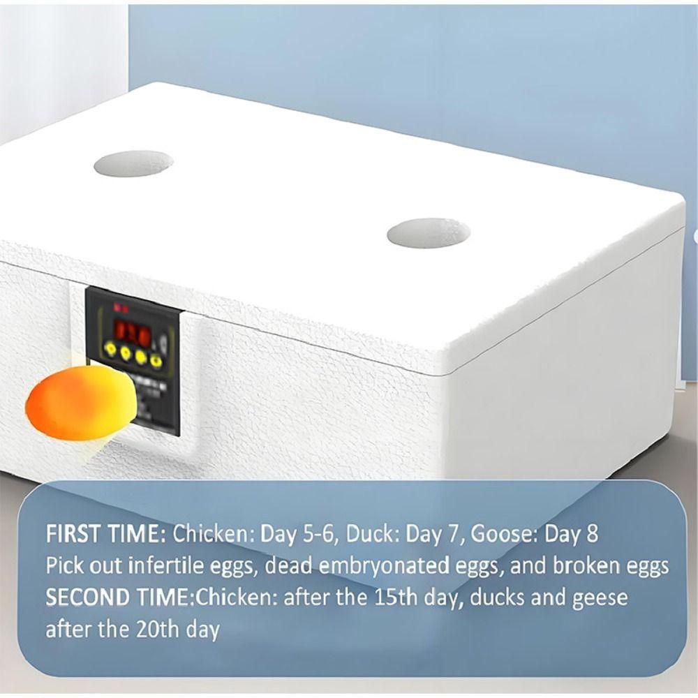 24-hour Thermostatic Small Poultry Egg Incubator Biomimetic Waterbed Fully Automatic Incubator Intelligent Chicken Duck Goose